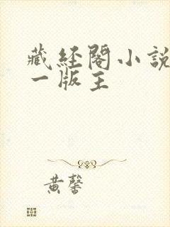 藏经阁小说网第一版主