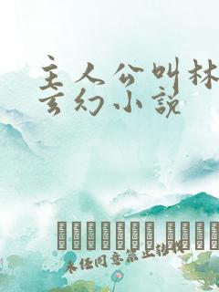 主人公叫林天的玄幻小说