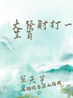 大发财打一准确生肖
