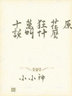 十万狂花原著小说叫什么