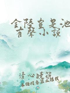 金陵岂是池中物 有声小说