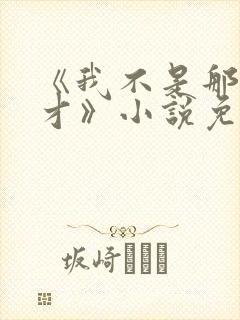 《我不是那种人才》小说免费阅读