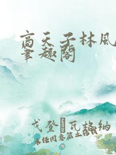 商天子林风小说笔趣阁