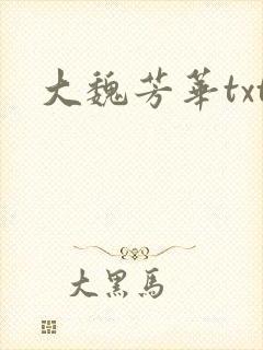 大魏芳华txt
