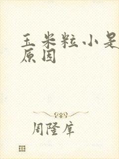 玉米粒小是什么原因