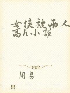 女侠被两人糟蹋高h小说