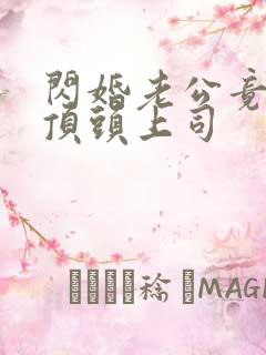 闪婚老公竟然是顶头上司 闪婚老公竟然是顶头上司