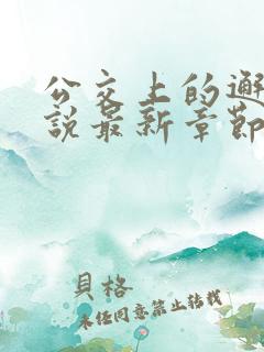 公交上的邂逅小说最新章节