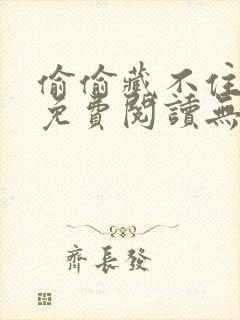 偷偷藏不住小说免费阅读无广告