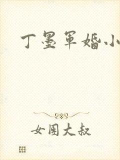 丁墨军婚小说