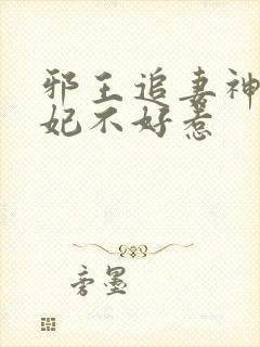 邪王追妻神医狂妃不好惹