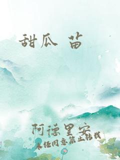甜瓜 苗