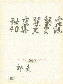 秘密关系电视剧40集免费观看