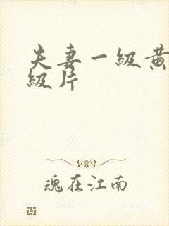 夫妻一级黄色一级片