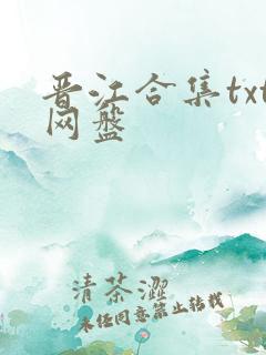晋江合集txt网盘