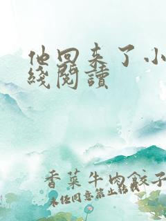 他回来了小说在线阅读