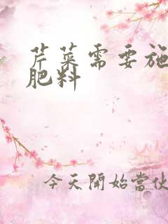 芹菜需要施什么肥料