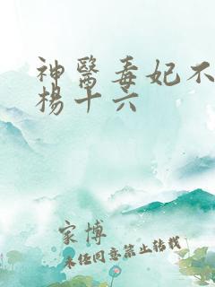 神医毒妃不好惹杨十六