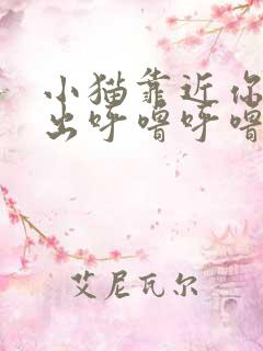 小猫靠近你时发出呼噜呼噜的声音