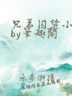 兄弟囚禁小美人by笔趣阁