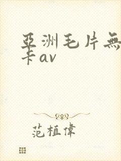 亚洲毛片无毛不卡av
