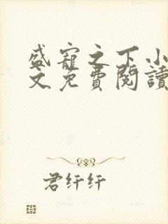 盛宠之下小说全文免费阅读