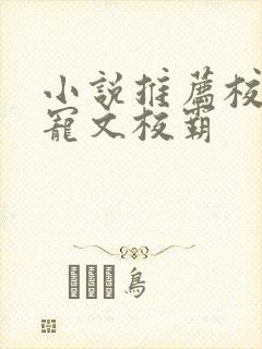 小说推荐校园甜宠文校霸