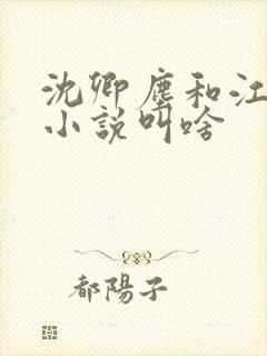 沈卿尘和江稚的小说叫啥