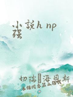 小说h np 强