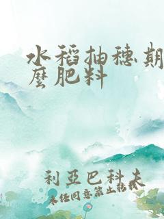 水稻抽穗期用什么肥料