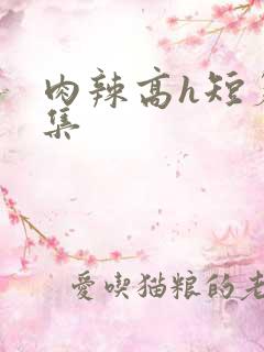肉辣高h短篇合集