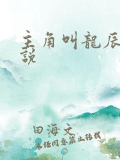 主角叫龙辰的小说