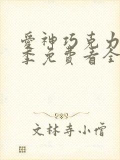 爱神巧克力第一季免费看全集