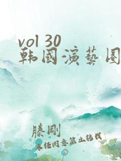 vol 30 韩国演艺圈