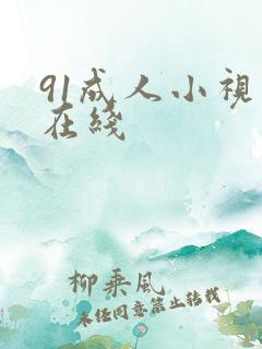 91成人小视频在线