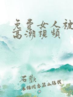 免费女人被爽到高潮视频