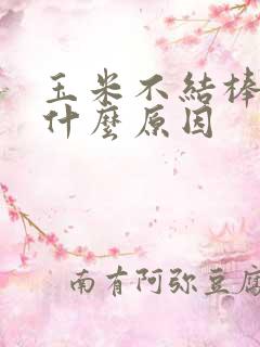 玉米不结棒子是什么原因