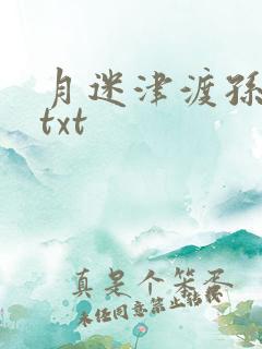 月迷津渡孙绍振txt