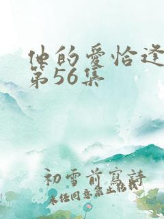 他的爱恰逢其时第56集