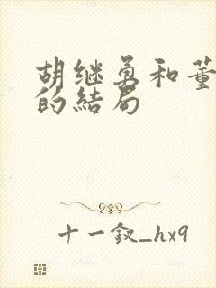 胡继勇和董思槿的结局