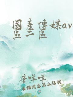 国产传媒av一区二区