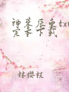 神墓辰东txt完本下载