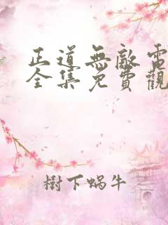 正道无敌电视剧全集免费观看高清