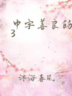 中字善良的嫂子3
