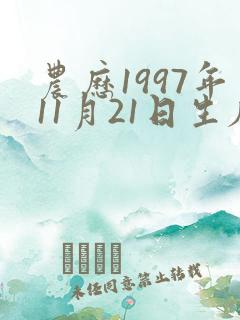 农历1997年11月21日生辰八字