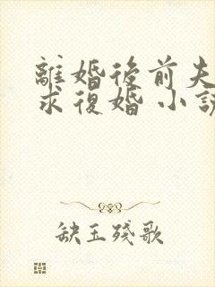 离婚后前夫哭着求复婚 小说