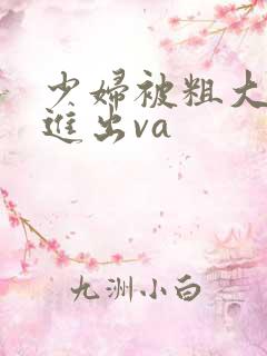 少妇被粗大猛进进出va