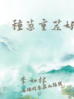 种葱重茬好不好