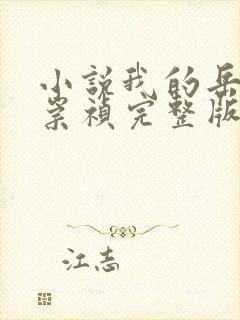小说我的岳父是崇祯完整版