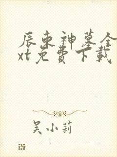 辰东神墓全本txt免费下载